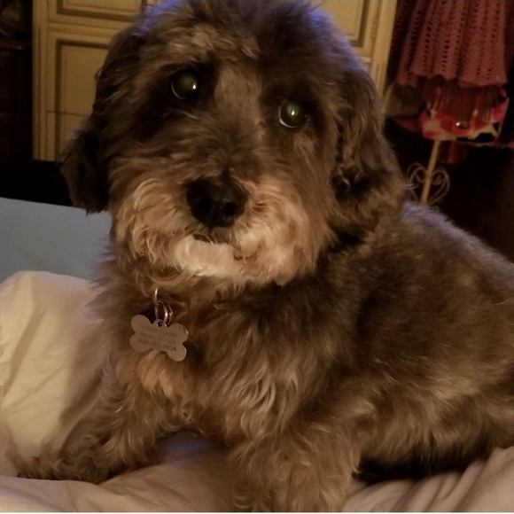 Meet your Posher! - Picture 3 of 4